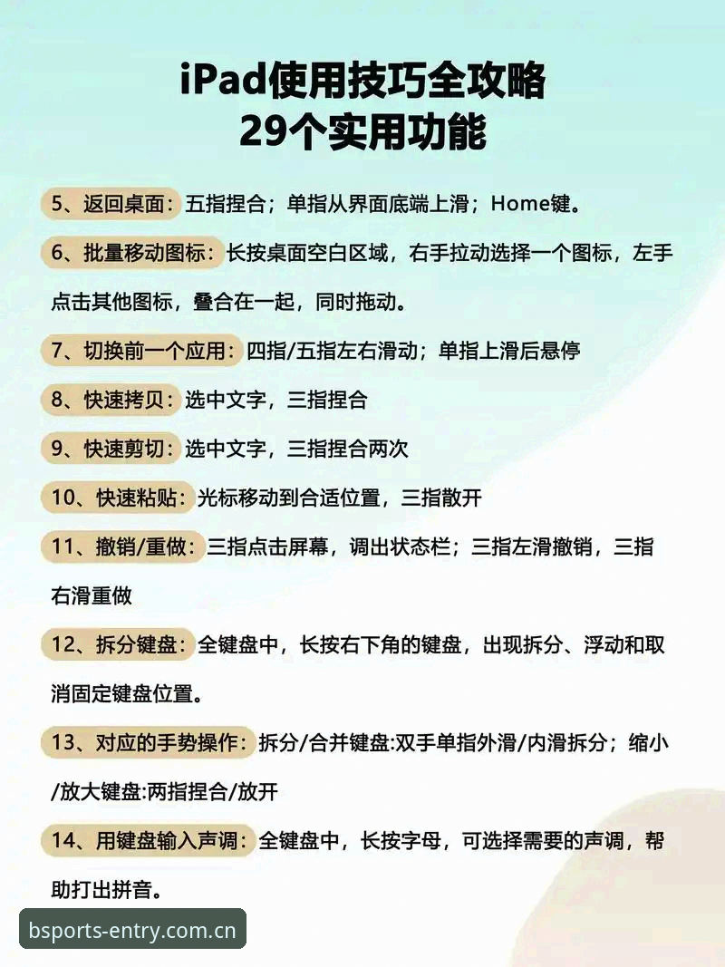 BSports体育官网电脑版完整使用指南：从入门到精通的三步操作法